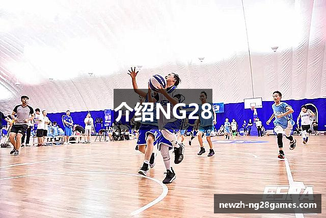 介绍NG28